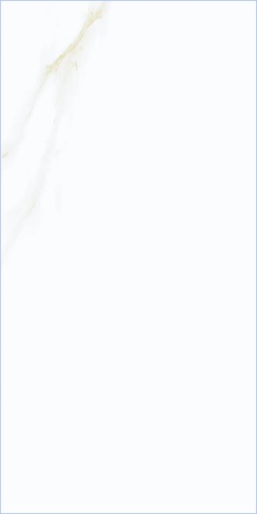 Time Cielo Matte 12 x 24